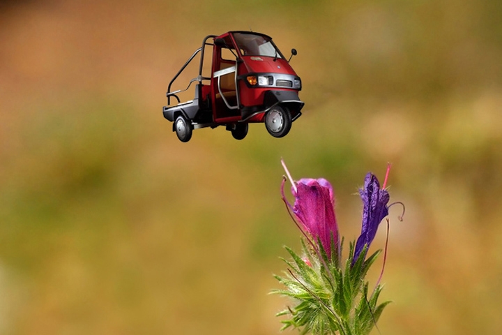 slideshow image