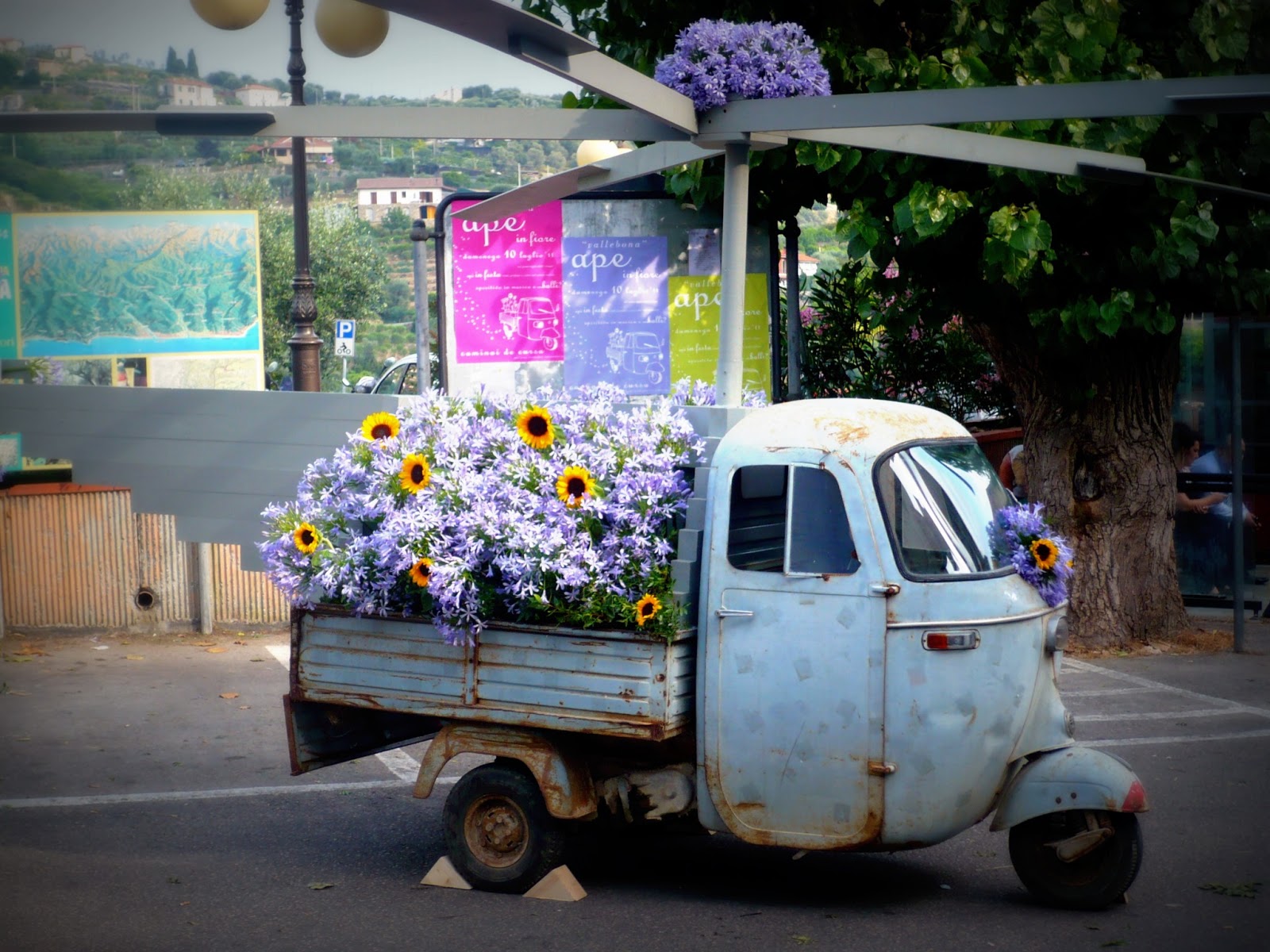 slideshow image