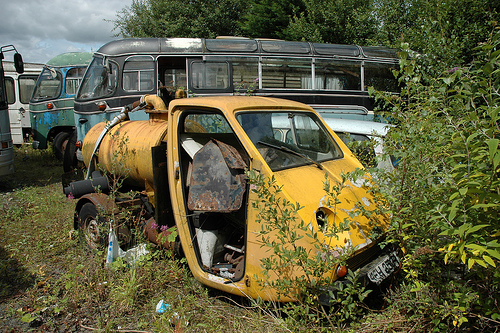 slideshow image